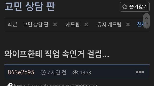 연애 결혼생활내내 직업속인 남편wow