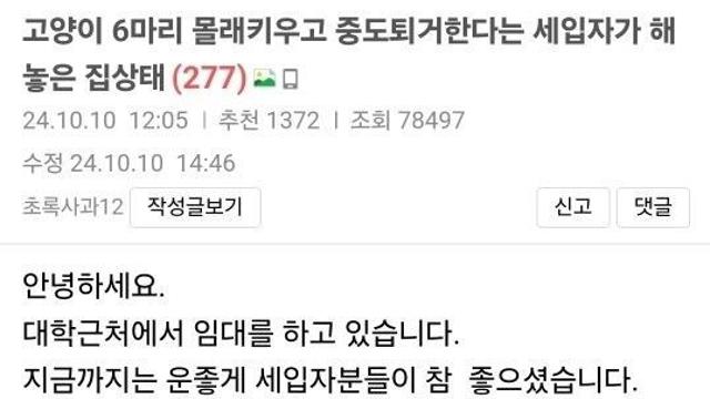 월세방에서 고양이 6마리 무단으로 키운 여자 집상태⋯!