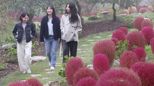 주말에 외출하는 분들, 기상청 날씨 예보 챙기세요