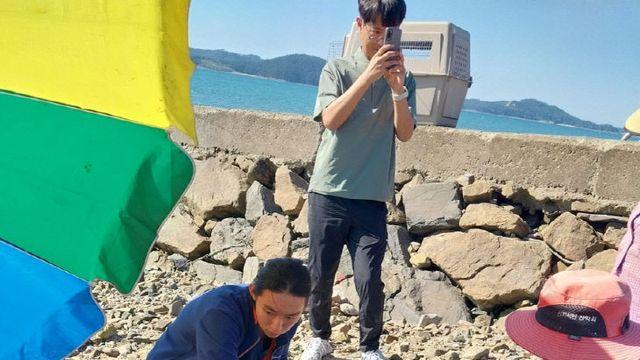 충남 서산에서 발견된 천연기념물 점박이물범, 구조 이송 중 폐사