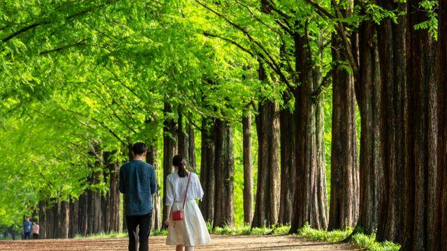 [헬스S] 선선한 날씨에 나들이 계획이라면… 