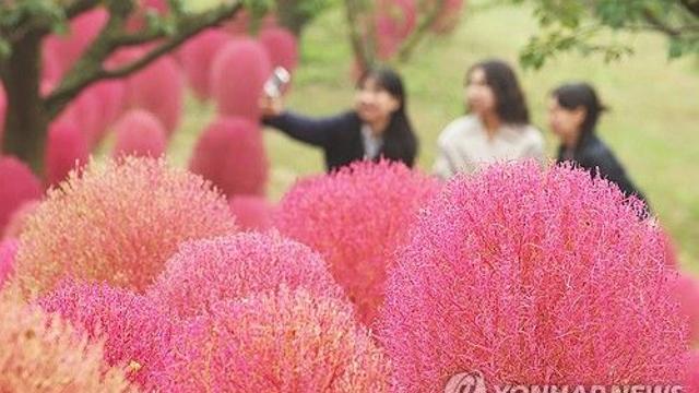 [날씨] 오전 곳곳 짙은 안개…15도 내외 큰 일교차 주의