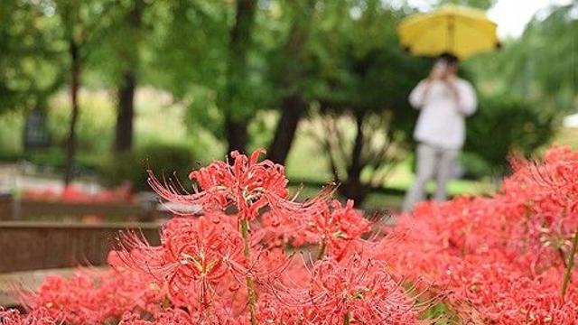 [내일날씨] 전국 흐리고 곳곳 비…낮 최고 21∼25도