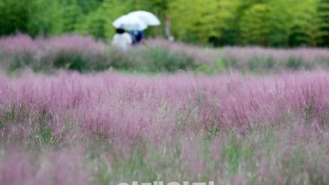 “출근길 우산 챙기세요”…전국 대부분 비[내일날씨]