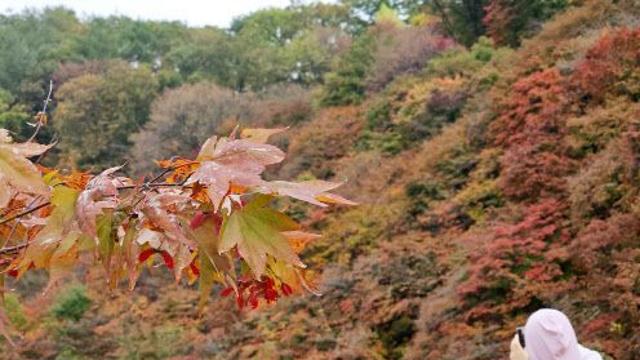 아침 출근길 쌀쌀…밤부터 제주 비소식[오늘날씨]