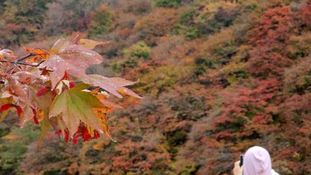 아침 최저 기온10도…“일교차 건강 유의하세요”[내일날씨]