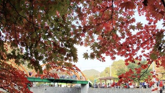 날씨예보, 밤부터 제주 비온다 