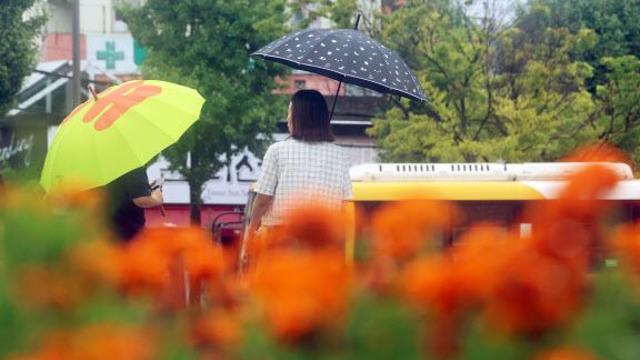 가을비에 기온 ‘뚝’…강원 산지 눈소식[오늘날씨]