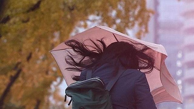 [날씨] 흐린 하늘 이틀 가을비 뒤엔 기온 뚝…강풍에 쌀쌀