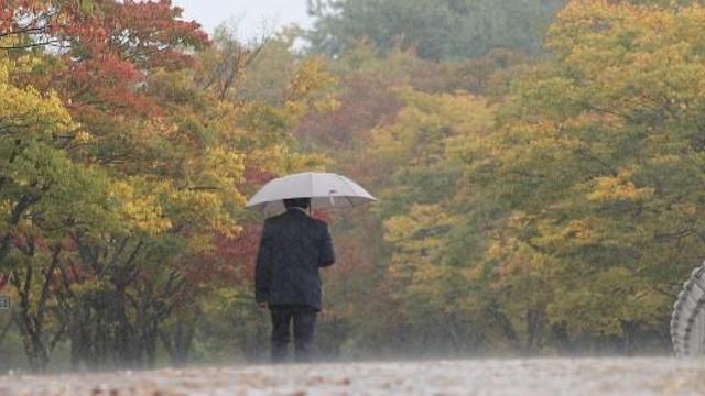 [오늘날씨] 전국 가을비에 기온 '뚝'…한낮 20도 안팎