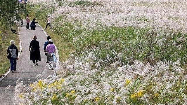 [내일날씨] 아침 쌀쌀…경기 북부·강원 내륙엔 서리·얼음