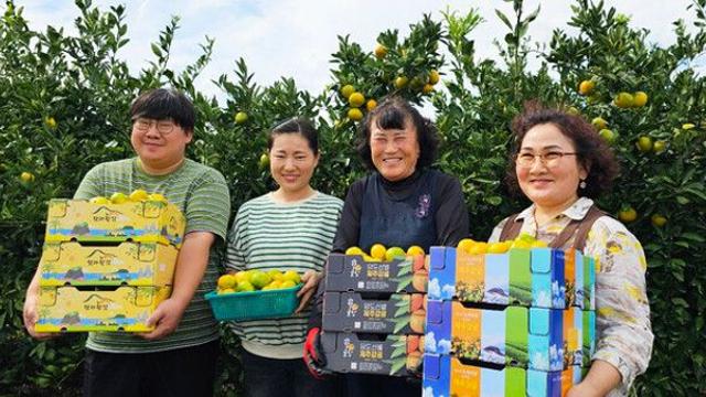 쿠팡, ‘폭염 위기’ 감귤 농가 돕기 위해 최대 800톤 감귤 매입 결정