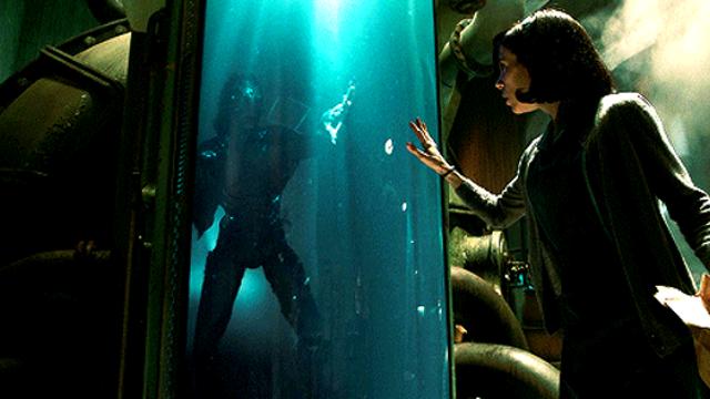영화 셰이프 오브 워터: 사랑의 모양 (The Shape of Water)			
…