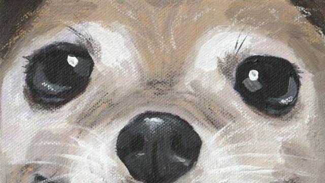 11명의 차세대 그림책 작가…11가지 이야기를 만난다