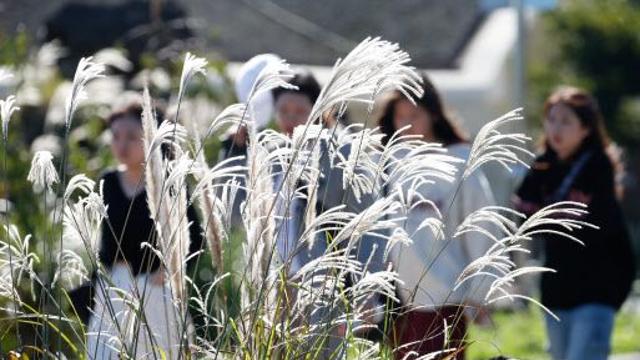 아침에 쌀쌀하다가 낮에는 따뜻…