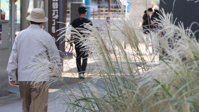 [오늘 날씨] 월요일 흐린 하늘빛… 경상·제주 등 '빗방울'