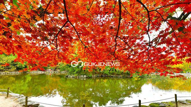 [오늘의 날씨] 전국 흐리고 전남·제주 비...서울 낮 18도·광주 20도 쌀쌀