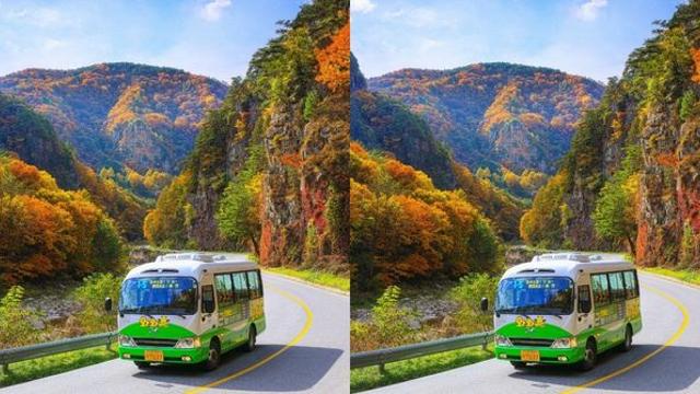 '2024 민둥산 은빛 억새축제'… 다음 달 2일까지 절정 (+주차, 등산코스, 인근 관광지)