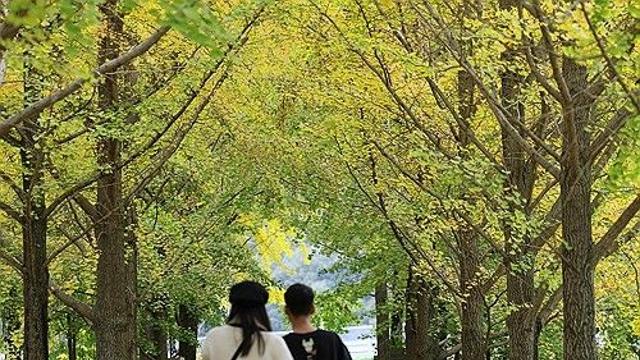 [내일날씨] 높고 푸른 가을 하늘…큰 일교차 주의