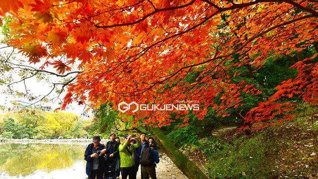 [오늘의 날씨] 전국 흐리고 남부•제주 최고 250㎜ 비...서울 낮 23도•대구 21도