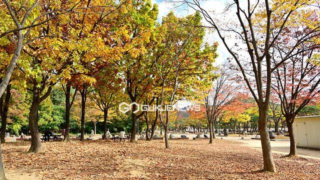 [오늘의 날씨] 전국 맑고 아침 짙은 안개...서울 낮 22도•광주 23도 포근