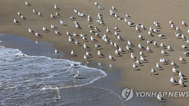 [내일날씨] 전국 대체로 맑음…낮 최고 19∼23도