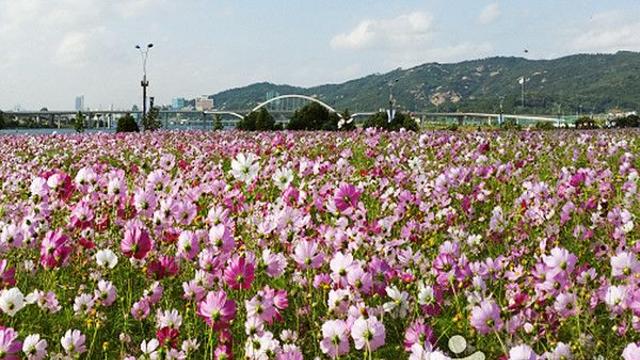 내일날씨, 서울낮 17도 