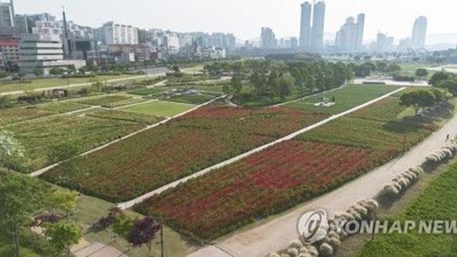 울산시, 4∼5일 싱가포르 여행업자·언론인 초청 팸투어