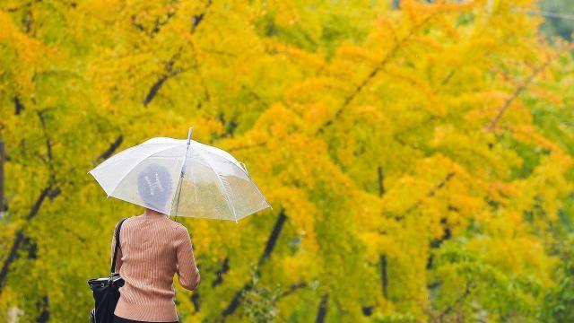 [내일 날씨] 전국 곳곳 흐리고 강한 바람...아침 최저 7도