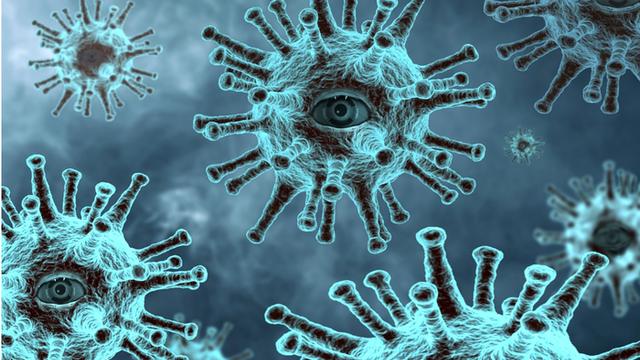 암 예방과 면역 강화....자연이 주는 해법