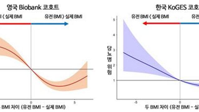 유전적 예측보다 더 비만한 사람은 '2형당뇨병' 위험 높아