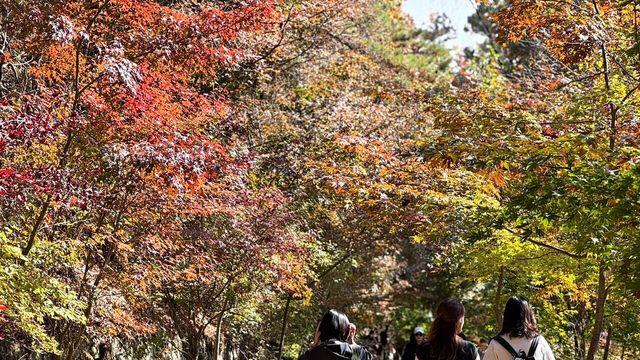 '북한산 단풍' 120% 즐기는 법… 우이령길 걷고, 루프탑 자쿠지서 쉬고