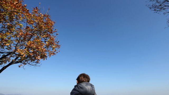 [내일 날씨] 낮 최고 16~21도… 추위 누그러진다