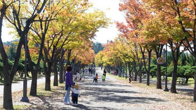 [오늘의 날씨] “감기 조심하세요”···전국 맑고 큰 일교차