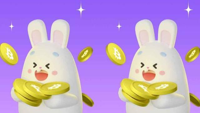 '비트버니 퀴즈 11월 9일' 정답