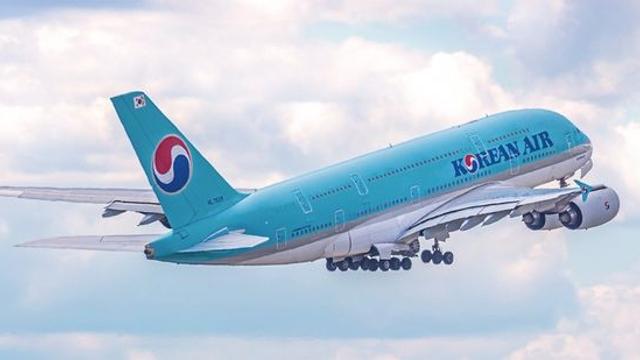 '기내 난동' 벌어진 대한항공 여객기…무단 착석, 고성에 위협까지 (+항공사 입장)