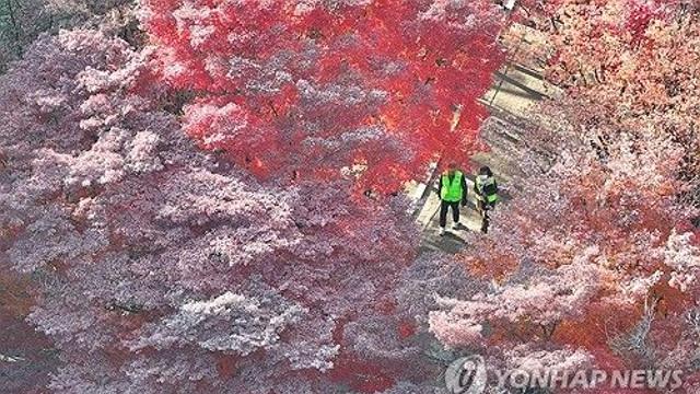 대전·세종·충남 흐리다 오후부터 맑음…일교차 커