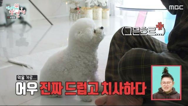 ‘전지적 참견 시점’  최현우, ‘집단 최면쇼’ 성공 “사이비종교 연락 오기도 했다”