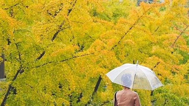 [날씨] 포근하고 일교차 큰 날씨…남부 지역엔 비