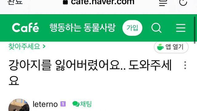 젊은 남자가 할아버지랑 산책 중인 강아지 납치함..