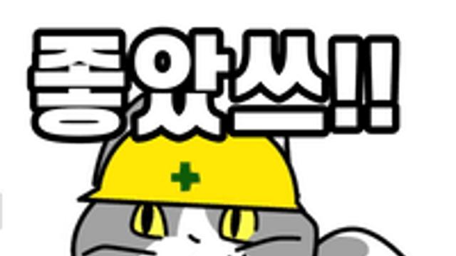 드디어 다 모았다!! 좆소냥이(겐바네코) 후쿠오카 파는 곳