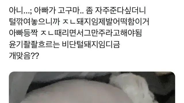 강아지가 살쪄서 털이라도 깎아본 견주