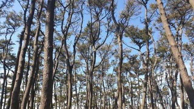 울산 대왕암공원에 '스마트 도서관' 개관…24시간 이용 가능