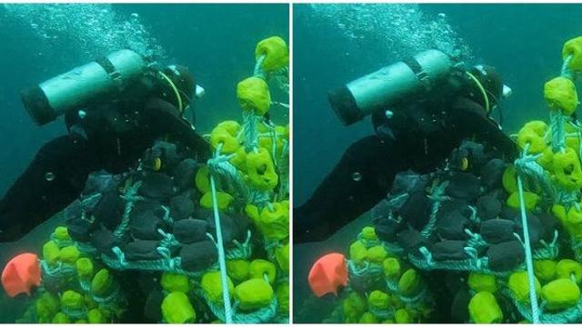 해경 “갑판에 있던 금성호 실종자들, '이곳'에 있을 가능성 높다”