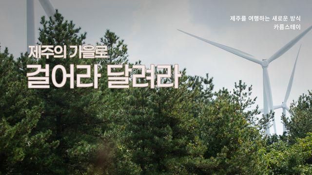 제주의 아름다운 가을 길, 걷기 좋은 마을 5