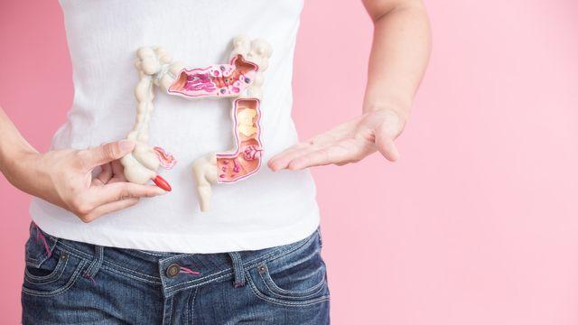 ‘대장 건강’ 지켜야 ‘건강 대장’... 정기적인 ‘내시경 검사’ 必