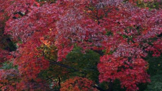 [오늘의 날씨] “다시 꺾인 추위”···기온 평년보다 높지만 일교차 커