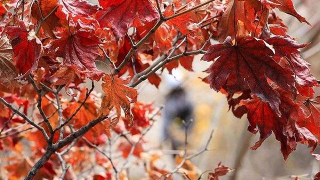 [날씨] 오늘 구름 많다 맑아져…낮 최고 17∼22도 '포근한 가을'