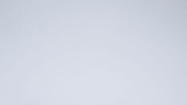 에이브릴 라빈 리메이크 통했다…파우, 빌보드·NME 외신도 '집중'