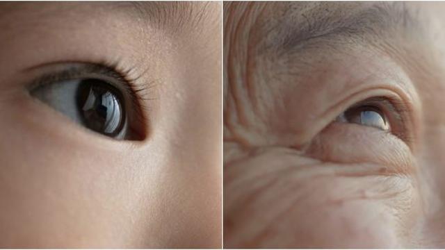 유아기부터 노년까지…평생 챙겨야 하는 눈 건강 관리법